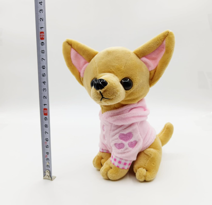 Cute dog - Chihuahua