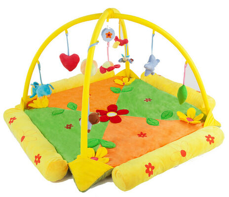 Lovely Flower Blue Baby Play Gyms , Indoor Play Gyms For Toddlers